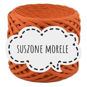 PRZĘDZA BISKVIT - 24 - SUSZONE MORELE