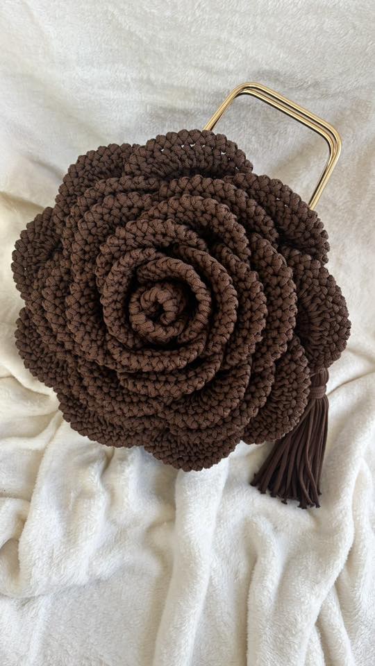 571432198_3799029040396146_1818627922027268087_n