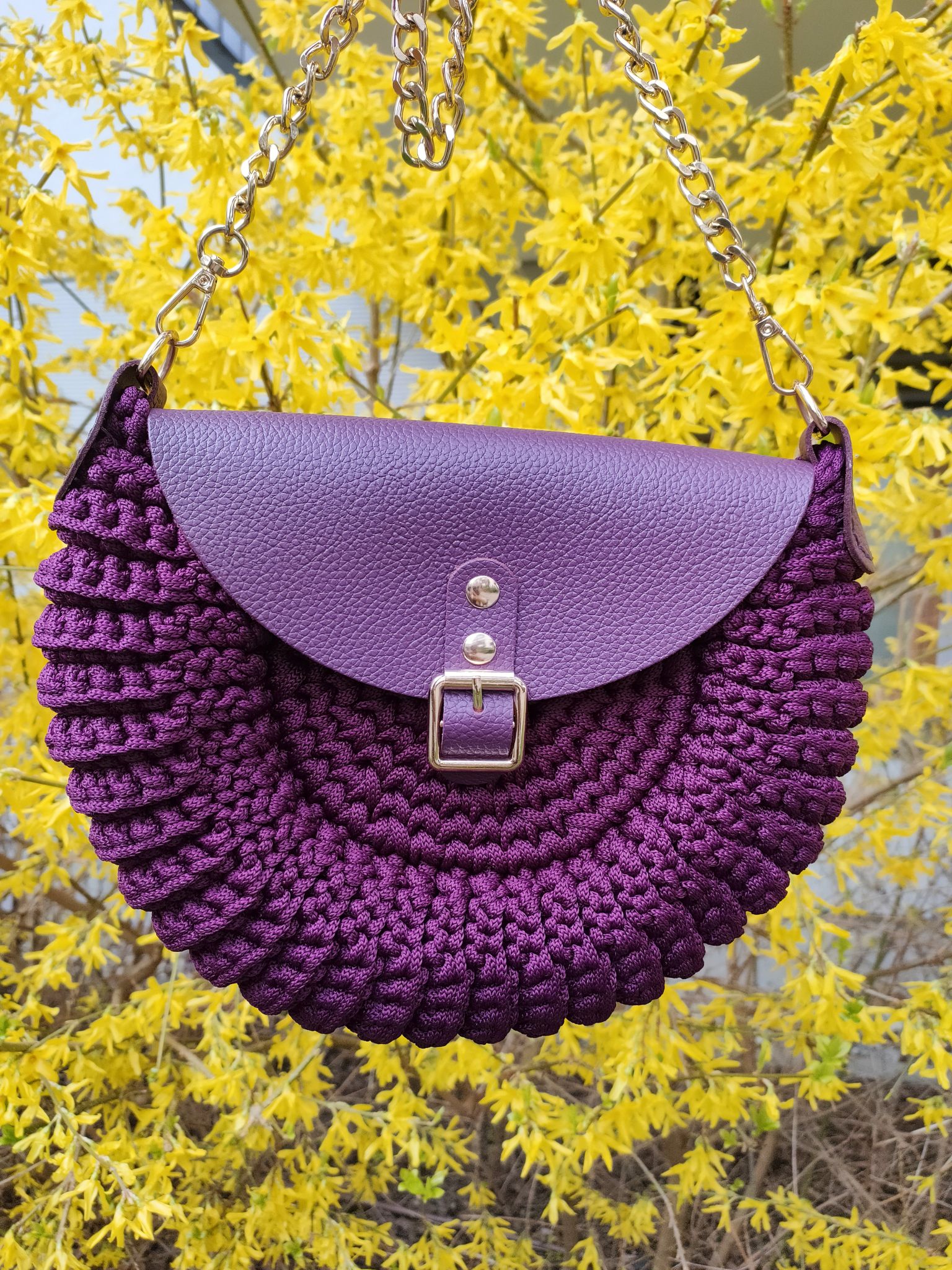 552808034_3391329844340167_4334082581711193401_n